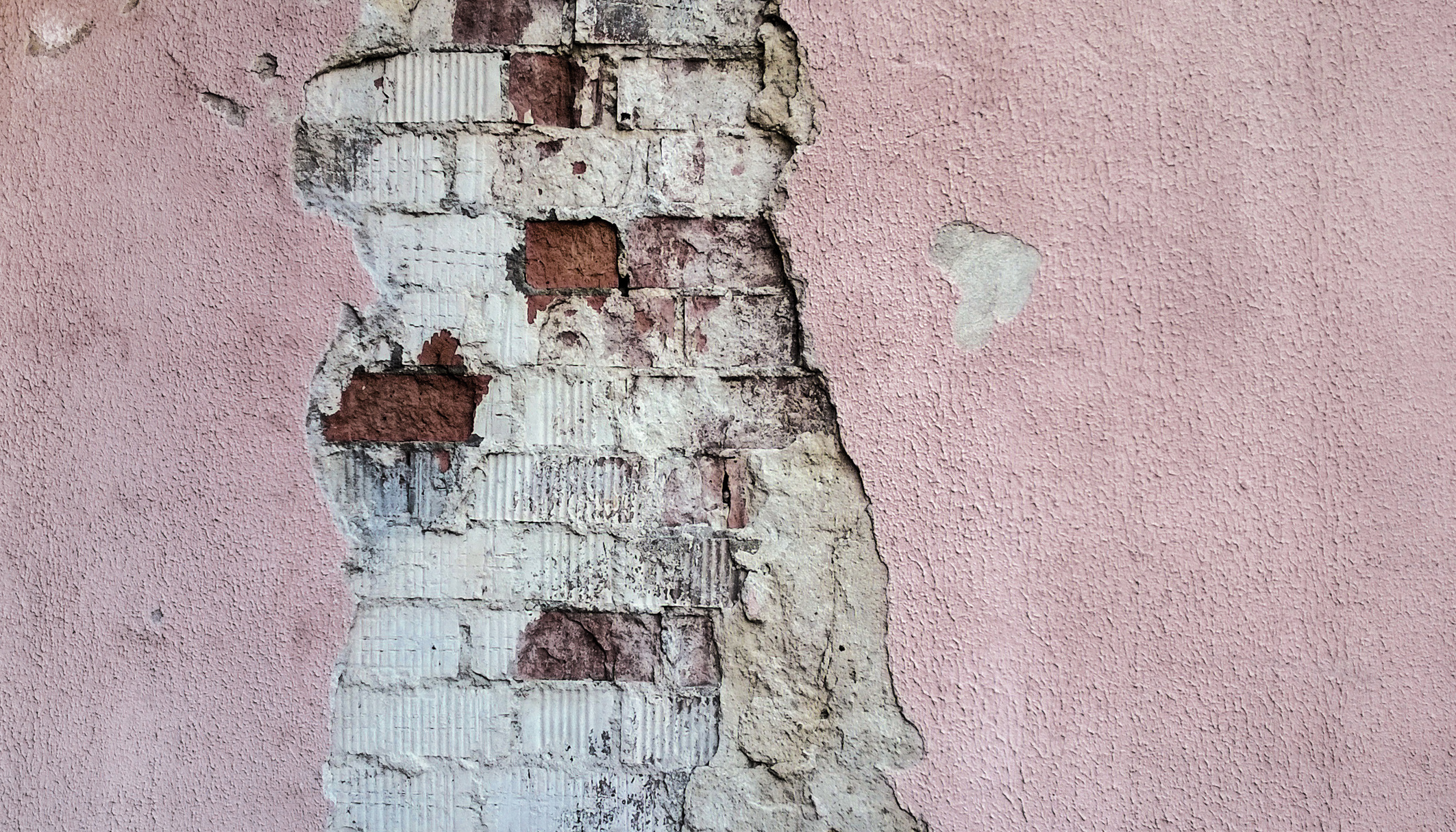Photo of Pink Painted Wall